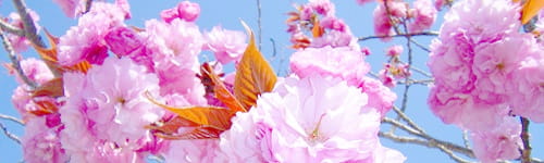 仕事の進め方研修 ~好感度がアップする仕事改善プログラム編(1日間)