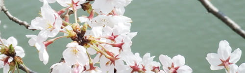 新人のための企画力研修(2日間)