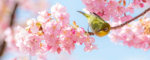 内定者向け研修~入社意欲の向上と社会人の仕事の進め方を思い描く編(半日間)