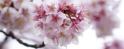 新入社員研修~会社の仕組みを理解する編(1日間)