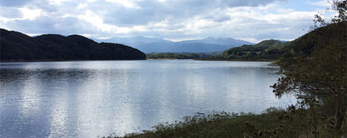 CS・接遇研修~「障害者差別解消法」を理解して対応力を向上する編(1日間)