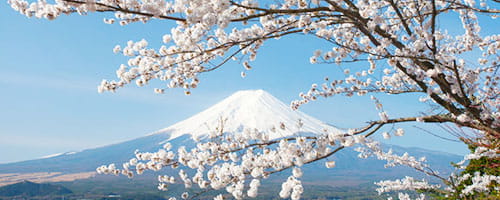 (外国人・帰国子女向け)日本人と一緒に働くためのコミュニケーション研修(1日間)