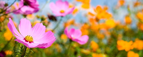 ハラスメント防止研修～セクハラ・パワハラを正しく理解する編（１時間）