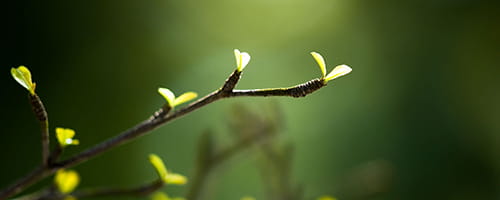 新人向けレジリエンス向上研修~失敗をチャンスに変える編(1日間)