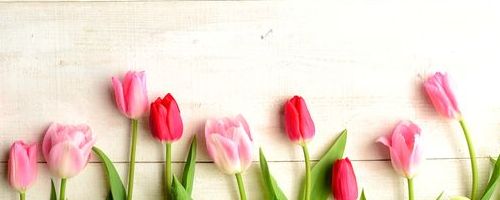 役職者向けメンター研修~メンター制度の意義を理解し、支援する(3時間)