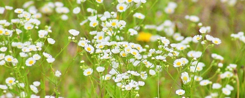 ご高齢者・シニア向け接遇力向上研修~窓口応対編(半日間)