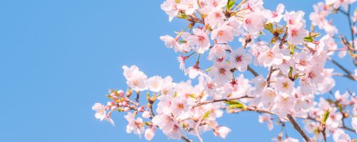 新入社員研修~ビジネスマインド醸成編(2日間)