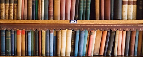 ベテラン社員のためのメンバー育成研修~人を育てる組織風土を醸成する(半日間)