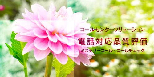 コールセンター ソリューション