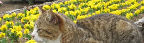 若手向け研修~仕事の意欲と成果を向上させる編(2日間)