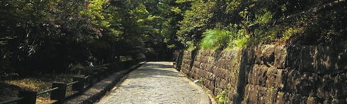 上級管理職(部長職)研修~課題を掴み目標を定める編(1日間)
