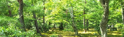 管理職研修~女性活躍の環境づくり編(2日間)