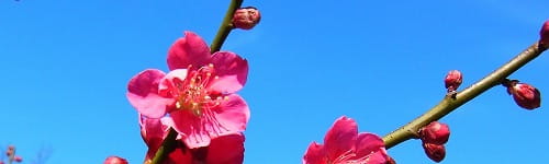 中堅管理職 ~キャリアデザイン研修(1日間)