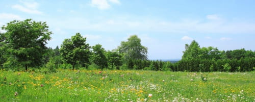 労務管理研修~基礎編(半日間)