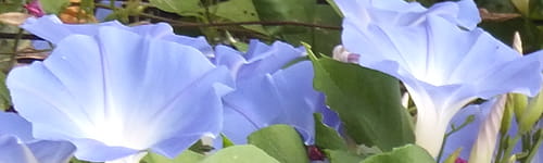 男性管理職向け女性活躍推進研修~指導方法実践編(半日間)