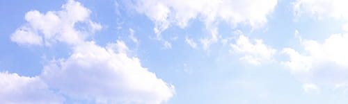 障がいのある方とともに働くための研修(2時間)