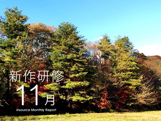 新作11月
