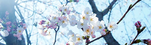 プロフェッショナルマインド養成編(4日間)