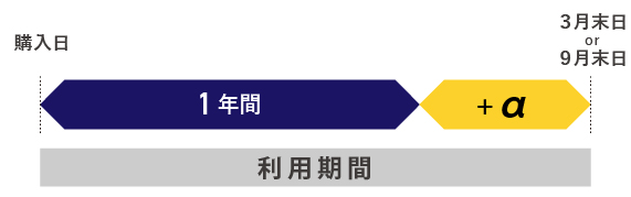 有効期限は1 年+α 研修計画に合わせていつでもご利用が可能成