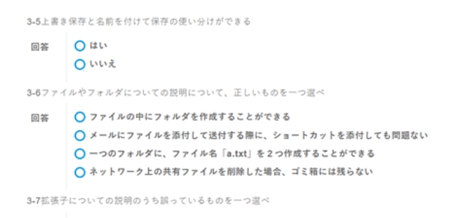 ＩＴ基礎スキル診断設問サンプル