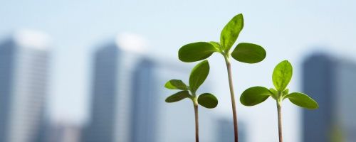 採用担当者向け自社プレゼン力向上研修~自社の魅力を端的に語る編(半日間)